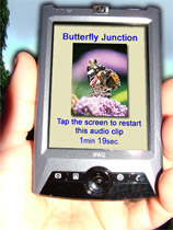 Screenshot of Butterfly Junction audio zone on the Avon New Cut Mediascape